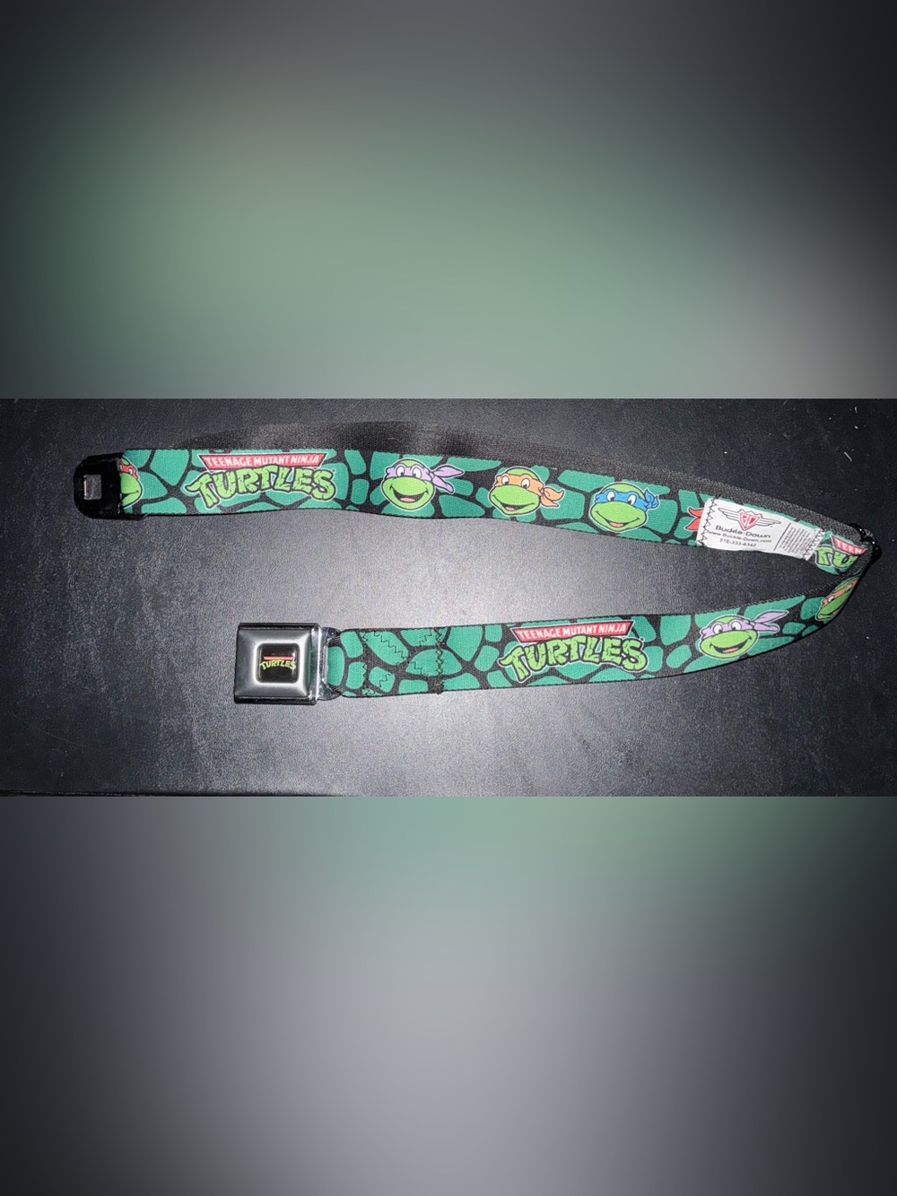 Teenage mutant ninja turtles belt